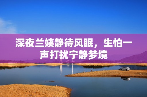 深夜兰姨静待风眠，生怕一声打扰宁静梦境