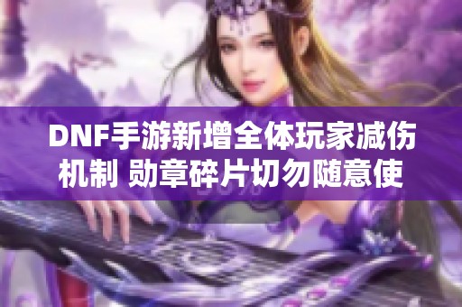 DNF手游新增全体玩家减伤机制 勋章碎片切勿随意使用