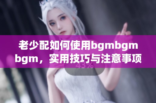 老少配如何使用bgmbgmbgm，实用技巧与注意事项分享