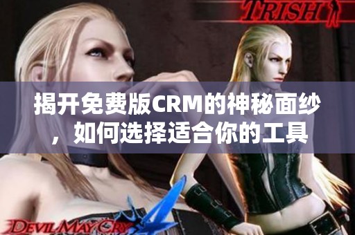 揭开免费版CRM的神秘面纱，如何选择适合你的工具