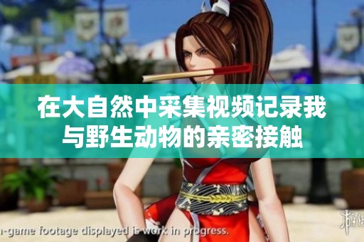 在大自然中采集视频记录我与野生动物的亲密接触