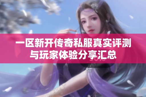 一区新开传奇私服真实评测与玩家体验分享汇总