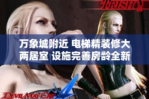 万象城附近 电梯精装修大两居室 设施完善房龄全新