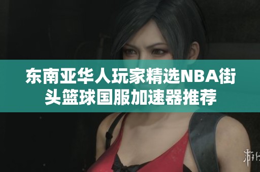 东南亚华人玩家精选NBA街头篮球国服加速器推荐