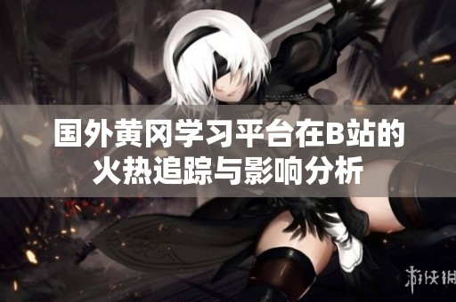 国外黄冈学习平台在B站的火热追踪与影响分析