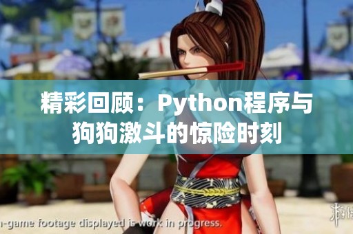 精彩回顾：Python程序与狗狗激斗的惊险时刻