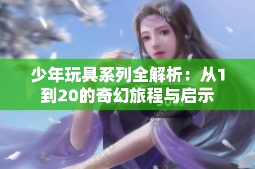 少年玩具系列全解析：从1到20的奇幻旅程与启示