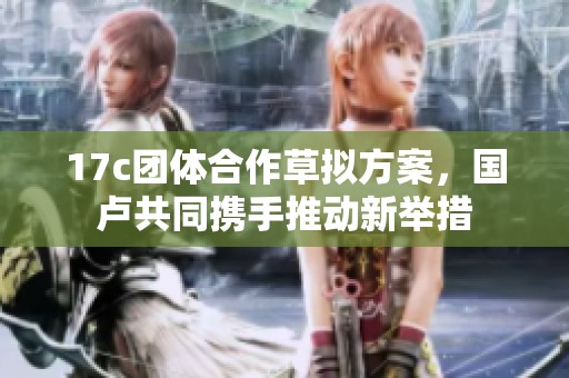 17c团体合作草拟方案，国卢共同携手推动新举措