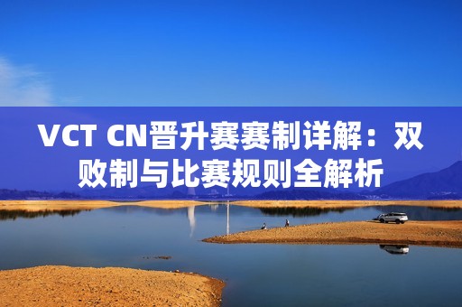 VCT CN晋升赛赛制详解：双败制与比赛规则全解析