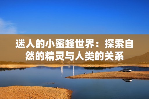 迷人的小蜜蜂世界：探索自然的精灵与人类的关系