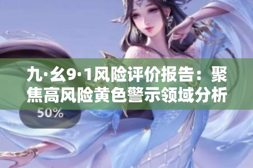 九·幺9·1风险评价报告：聚焦高风险黄色警示领域分析