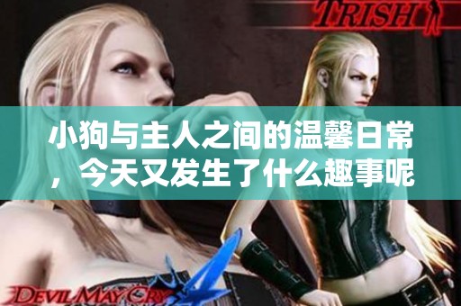 小狗与主人之间的温馨日常，今天又发生了什么趣事呢