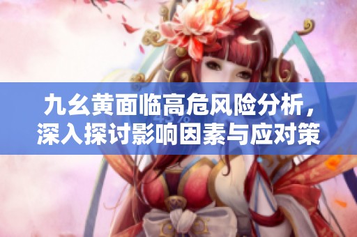 九幺黄面临高危风险分析，深入探讨影响因素与应对策略