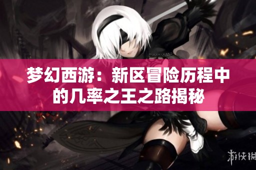 梦幻西游：新区冒险历程中的几率之王之路揭秘