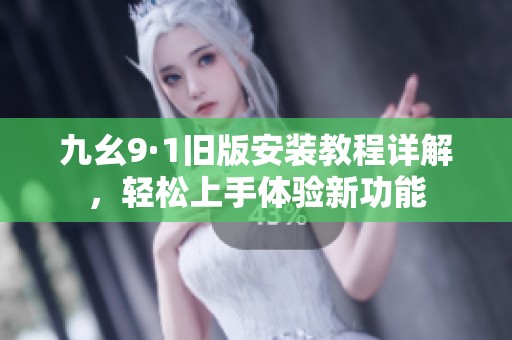 九幺9·1旧版安装教程详解，轻松上手体验新功能