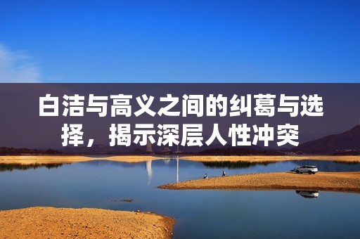 白洁与高义之间的纠葛与选择，揭示深层人性冲突