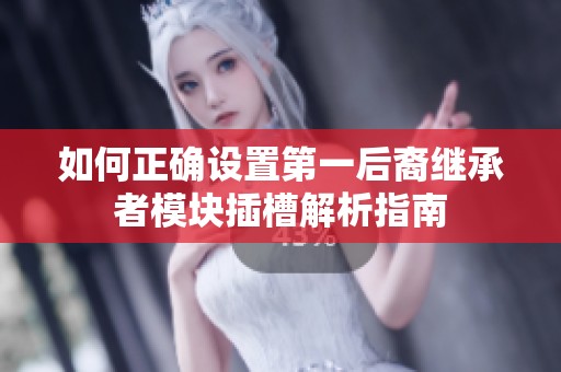 如何正确设置第一后裔继承者模块插槽解析指南
