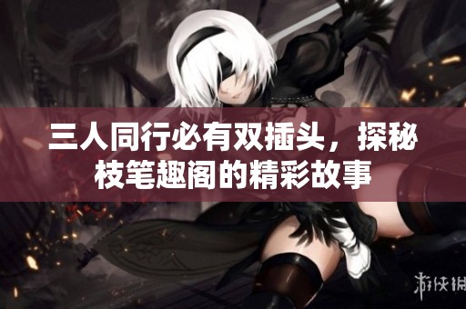 三人同行必有双插头，探秘枝笔趣阁的精彩故事