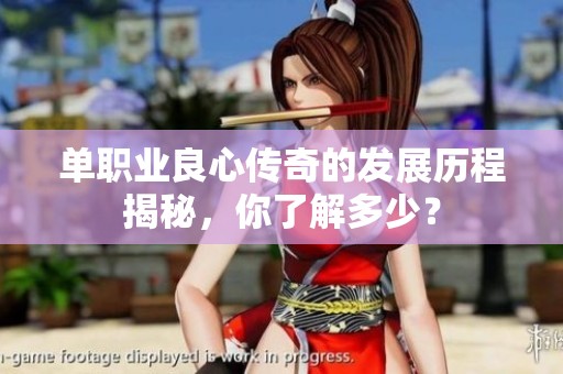 单职业良心传奇的发展历程揭秘，你了解多少？