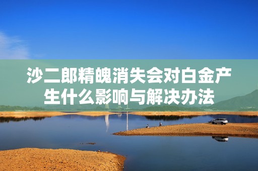 沙二郎精魄消失会对白金产生什么影响与解决办法