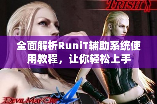 全面解析RuniT辅助系统使用教程，让你轻松上手