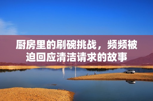 厨房里的刷碗挑战，频频被迫回应清洁请求的故事