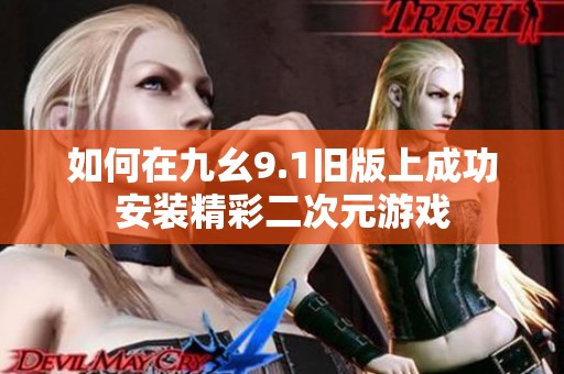 如何在九幺9.1旧版上成功安装精彩二次元游戏