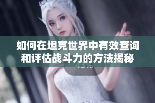 如何在坦克世界中有效查询和评估战斗力的方法揭秘