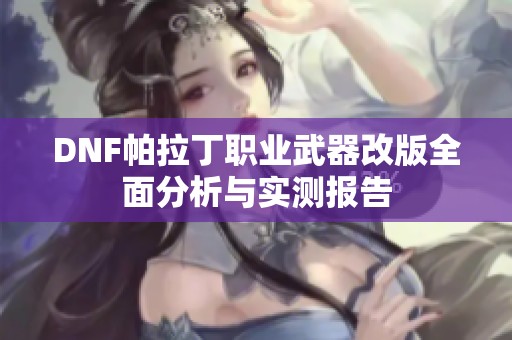 DNF帕拉丁职业武器改版全面分析与实测报告