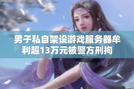 男子私自架设游戏服务器牟利超13万元被警方刑拘