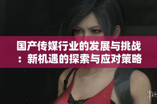 国产传媒行业的发展与挑战：新机遇的探索与应对策略
