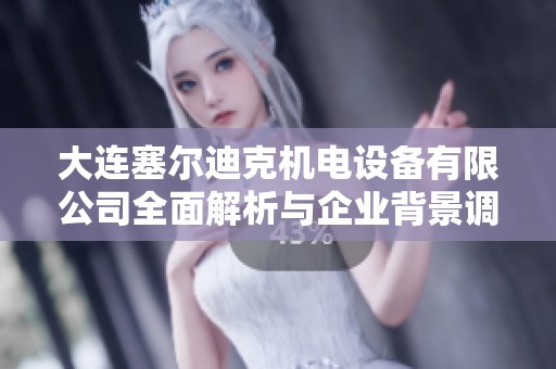 大连塞尔迪克机电设备有限公司全面解析与企业背景调查