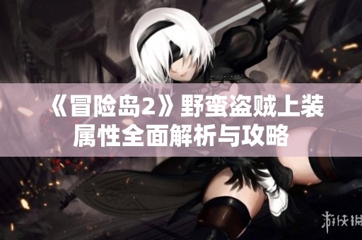 《冒险岛2》野蛮盗贼上装属性全面解析与攻略