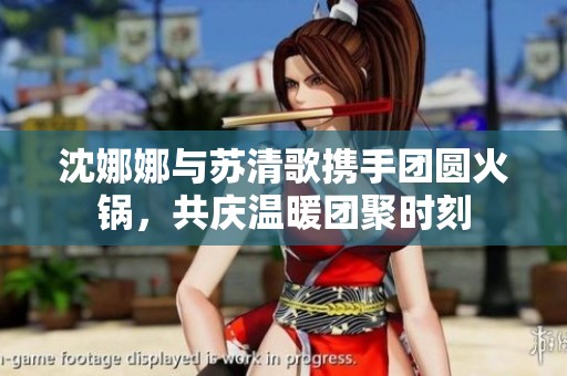 沈娜娜与苏清歌携手团圆火锅，共庆温暖团聚时刻