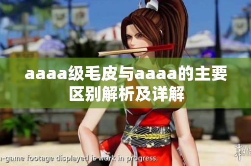 aaaa级毛皮与aaaa的主要区别解析及详解