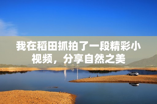 我在稻田抓拍了一段精彩小视频，分享自然之美