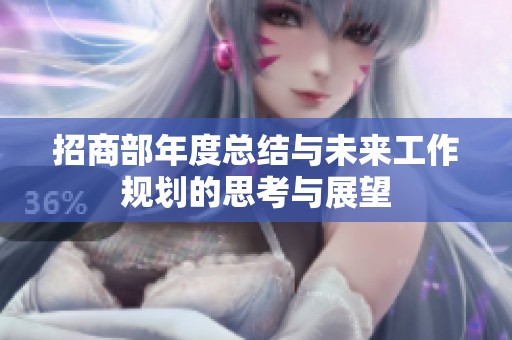 招商部年度总结与未来工作规划的思考与展望