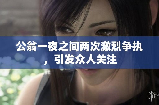 公翁一夜之间两次激烈争执，引发众人关注