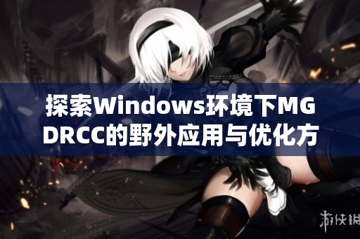 探索Windows环境下MGDRCC的野外应用与优化方法