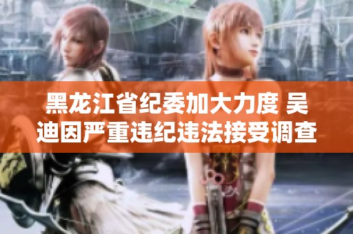 黑龙江省纪委加大力度 吴迪因严重违纪违法接受调查