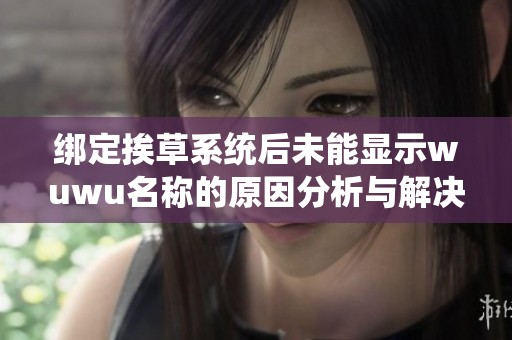 绑定挨草系统后未能显示wuwu名称的原因分析与解决办法