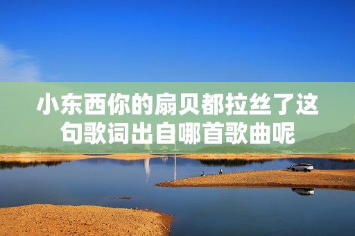 小东西你的扇贝都拉丝了这句歌词出自哪首歌曲呢