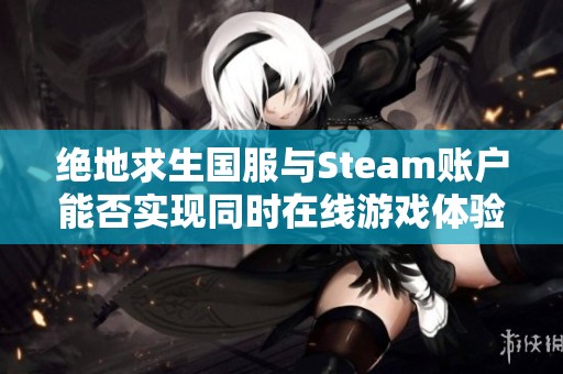 绝地求生国服与Steam账户能否实现同时在线游戏体验