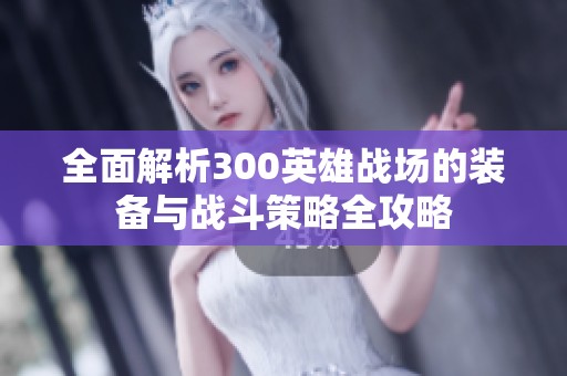 全面解析300英雄战场的装备与战斗策略全攻略