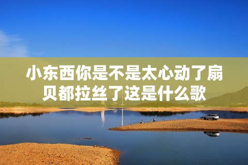 小东西你是不是太心动了扇贝都拉丝了这是什么歌