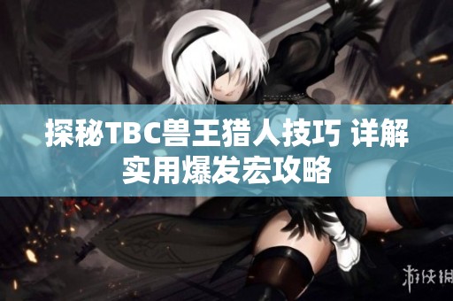探秘TBC兽王猎人技巧 详解实用爆发宏攻略