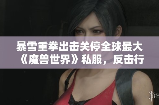 暴雪重拳出击关停全球最大《魔兽世界》私服，反击行动升级