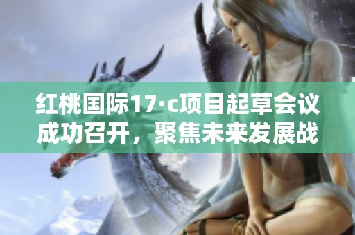 红桃国际17·c项目起草会议成功召开，聚焦未来发展战略