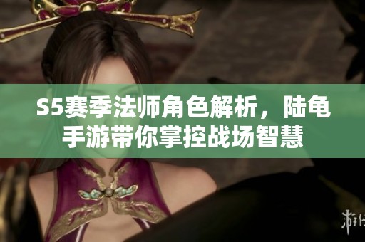 S5赛季法师角色解析，陆龟手游带你掌控战场智慧