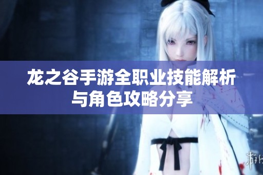 龙之谷手游全职业技能解析与角色攻略分享